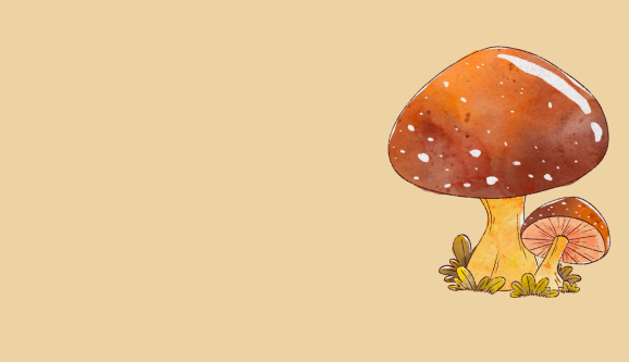 funghi
